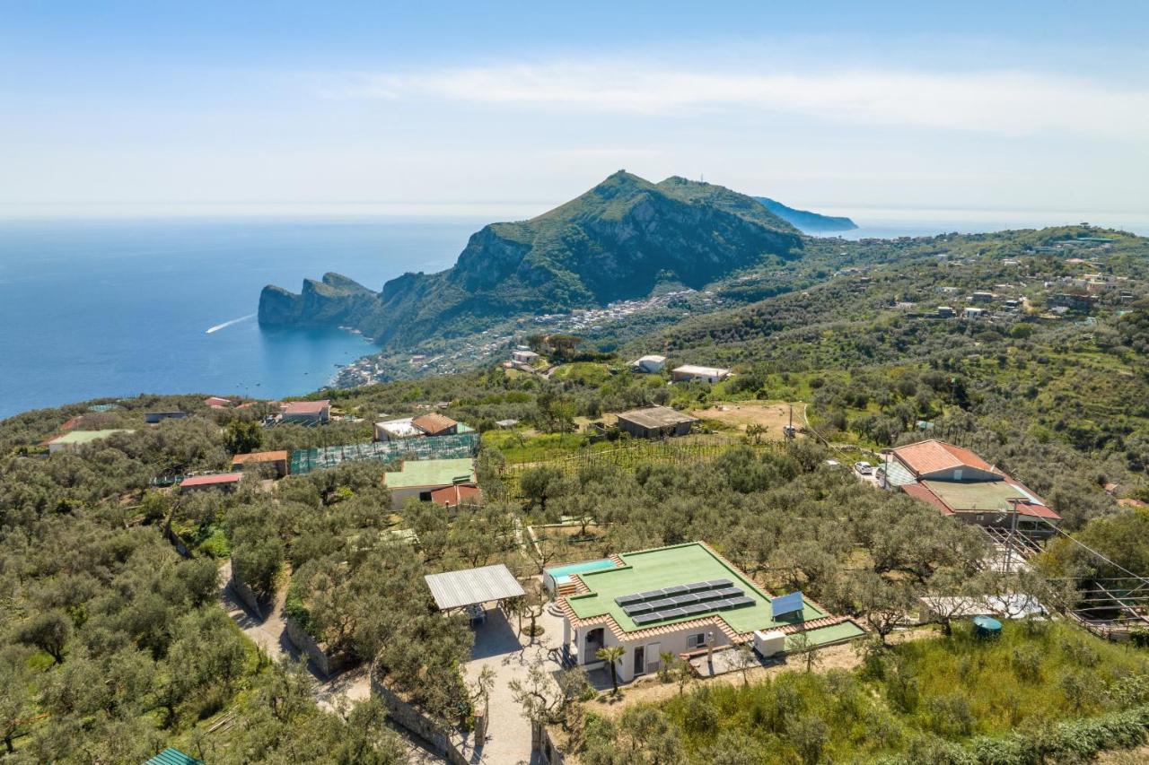 Villa Rusinella Minimalist Retreat With Sea Views มัสซาลูเบรนเซ ภายนอก รูปภาพ
